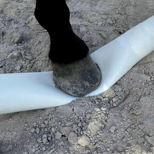 Barre de saut souple - Flexible et sécurisée | PORT COMPRIS.